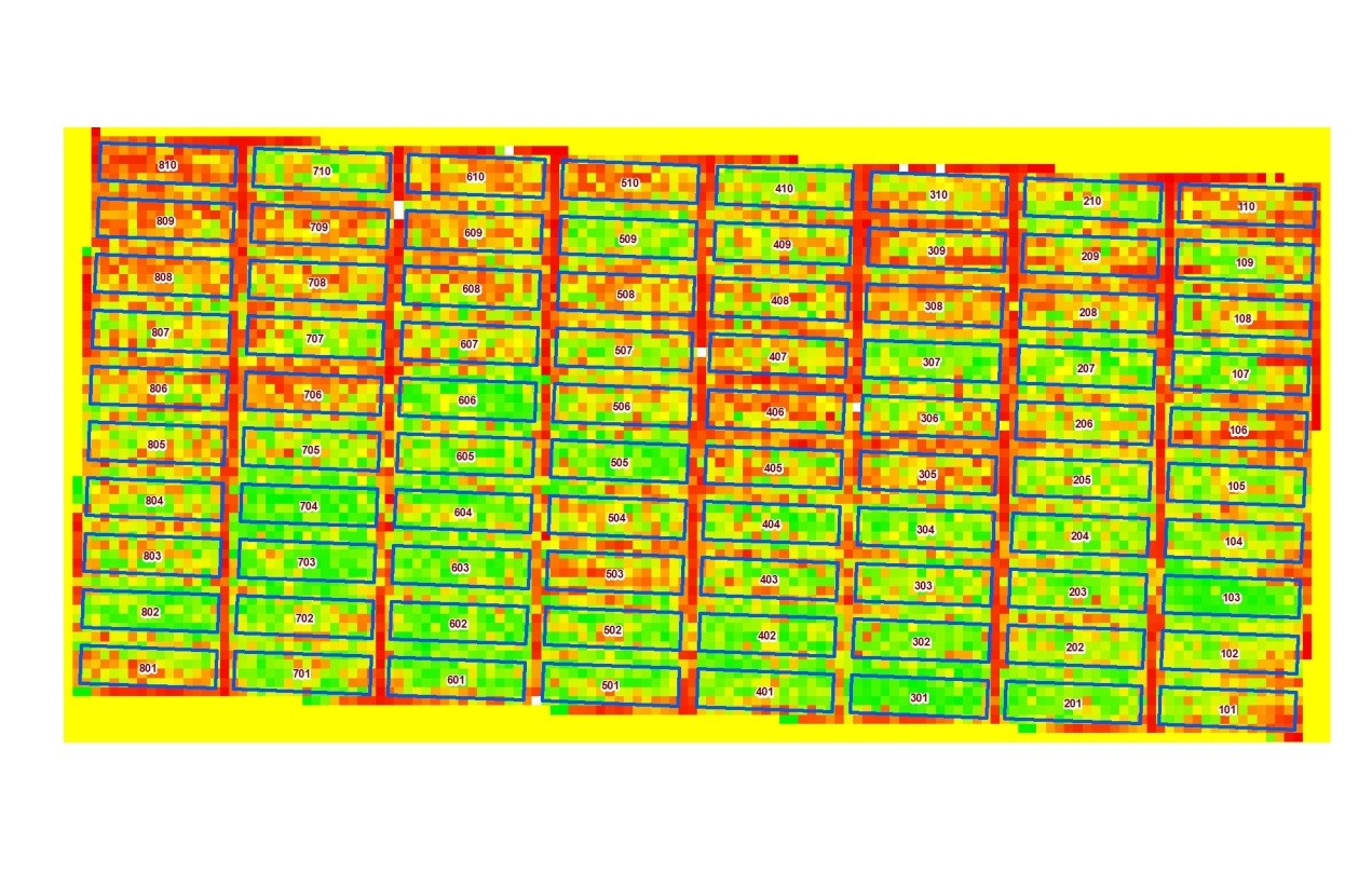 Fig. 1: UAV-derived NDVI at V6 corn growth stage in Theilman 2014.