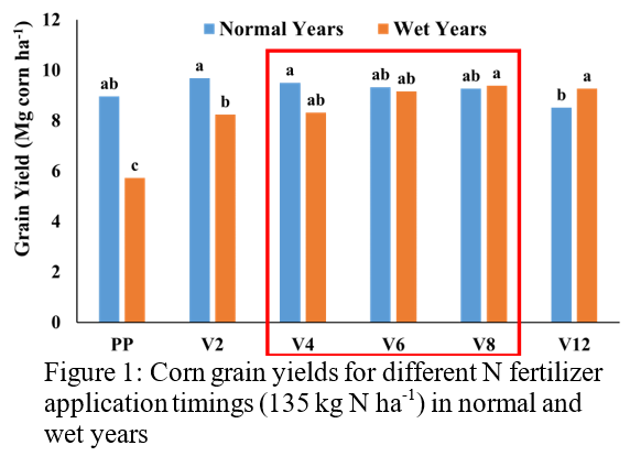 Figure 1: Corn grain yields for different N fertilizer application timings (135 kg N ha-1) in normal and wet years